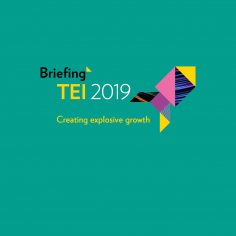 Briefing TEI