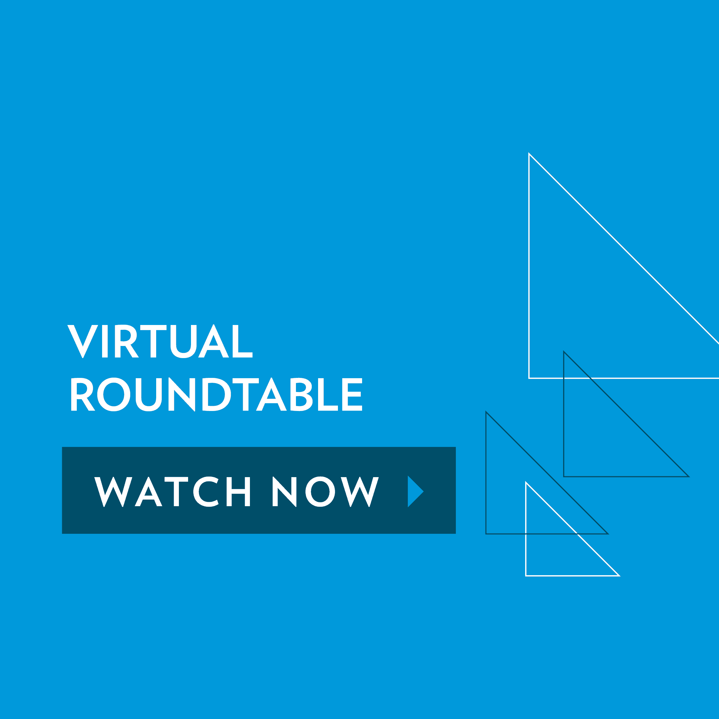 Feature image for CTS virtual roundtable August 2020