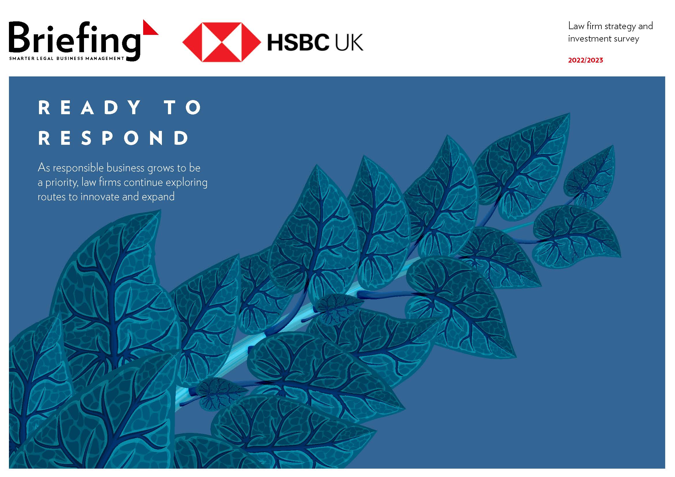 HSBC/Briefing law firm strategy survey 2022