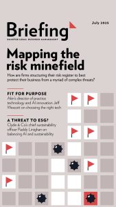 Briefing July 2025 - Mapping the risk minefield