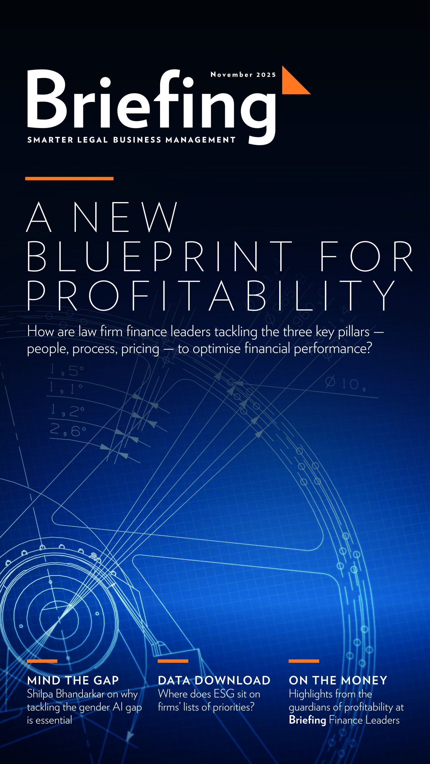 A blueprint for profitability